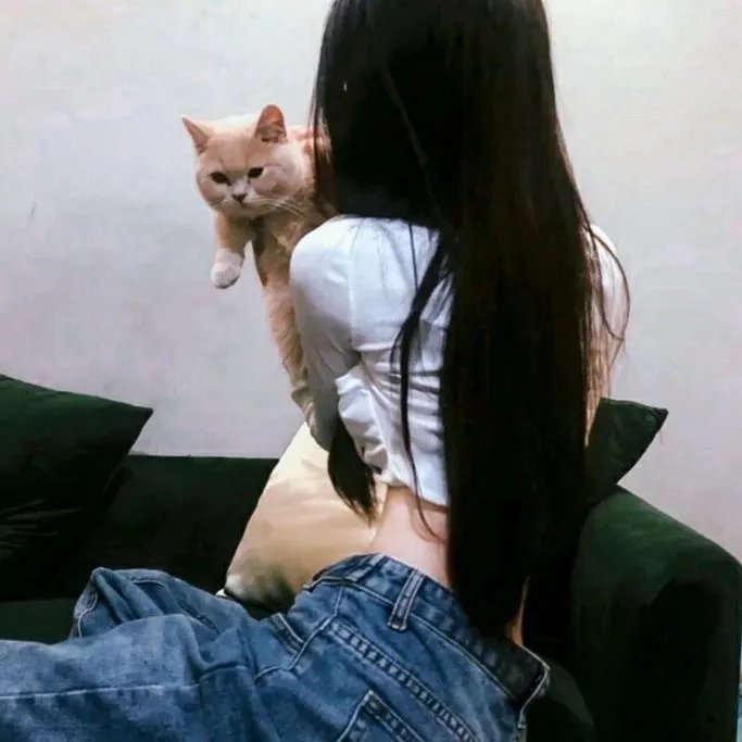 超级索尼克第二季